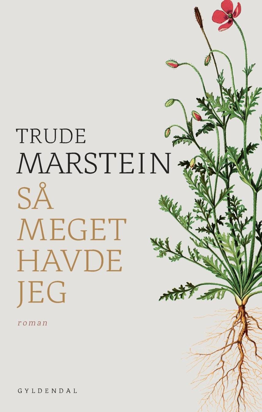 Trude Marstein: Så meget havde jeg : roman