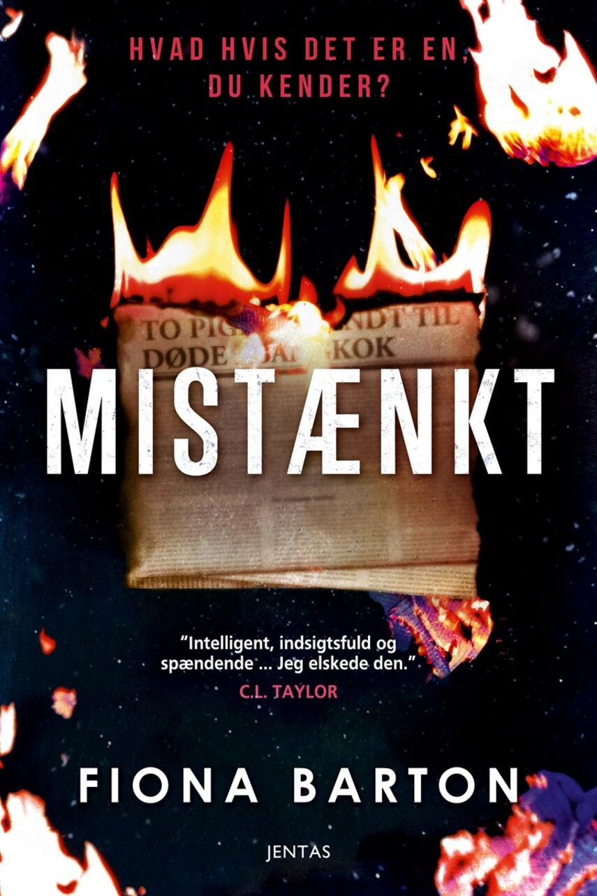 Fiona Barton: Mistænkt