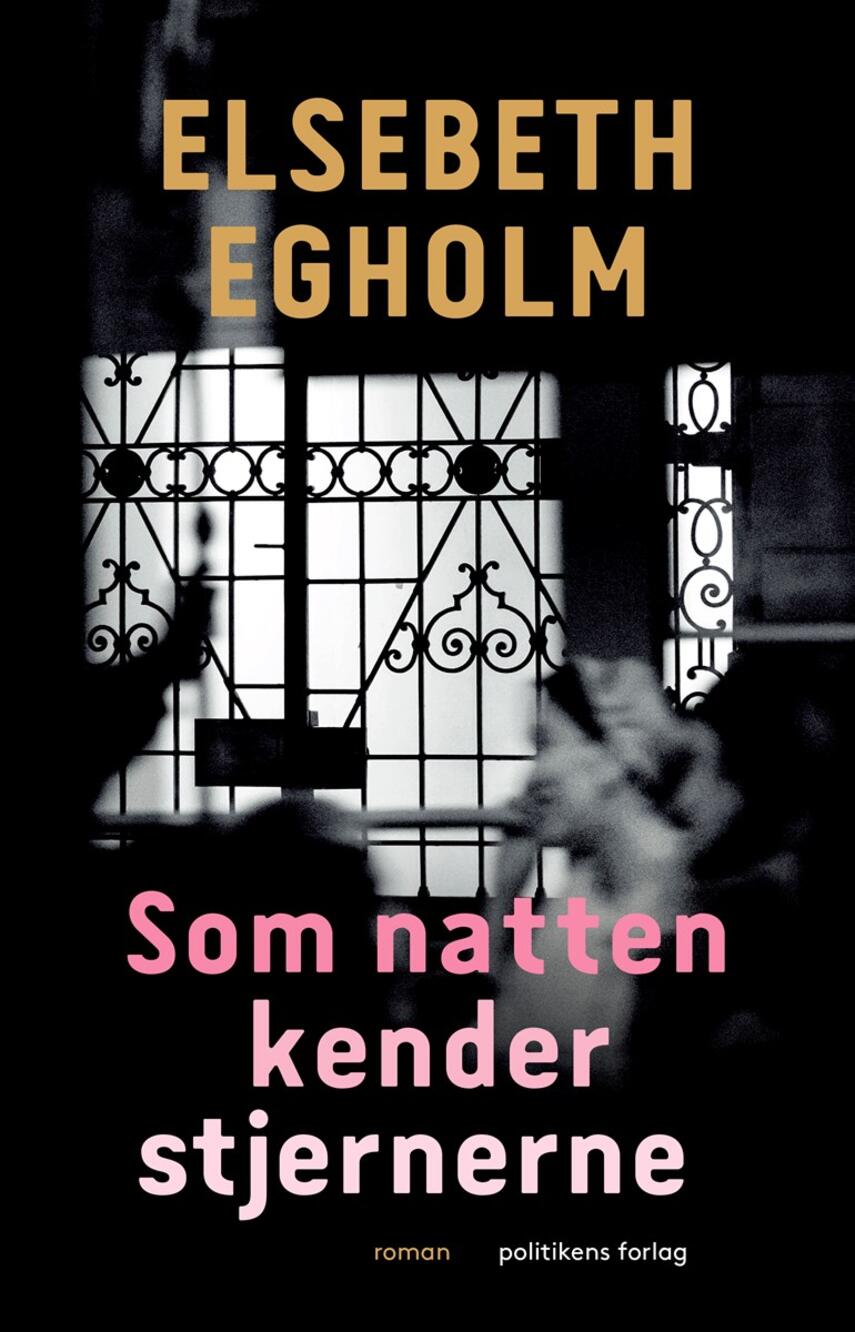 Elsebeth Egholm: Som natten kender stjernerne : roman