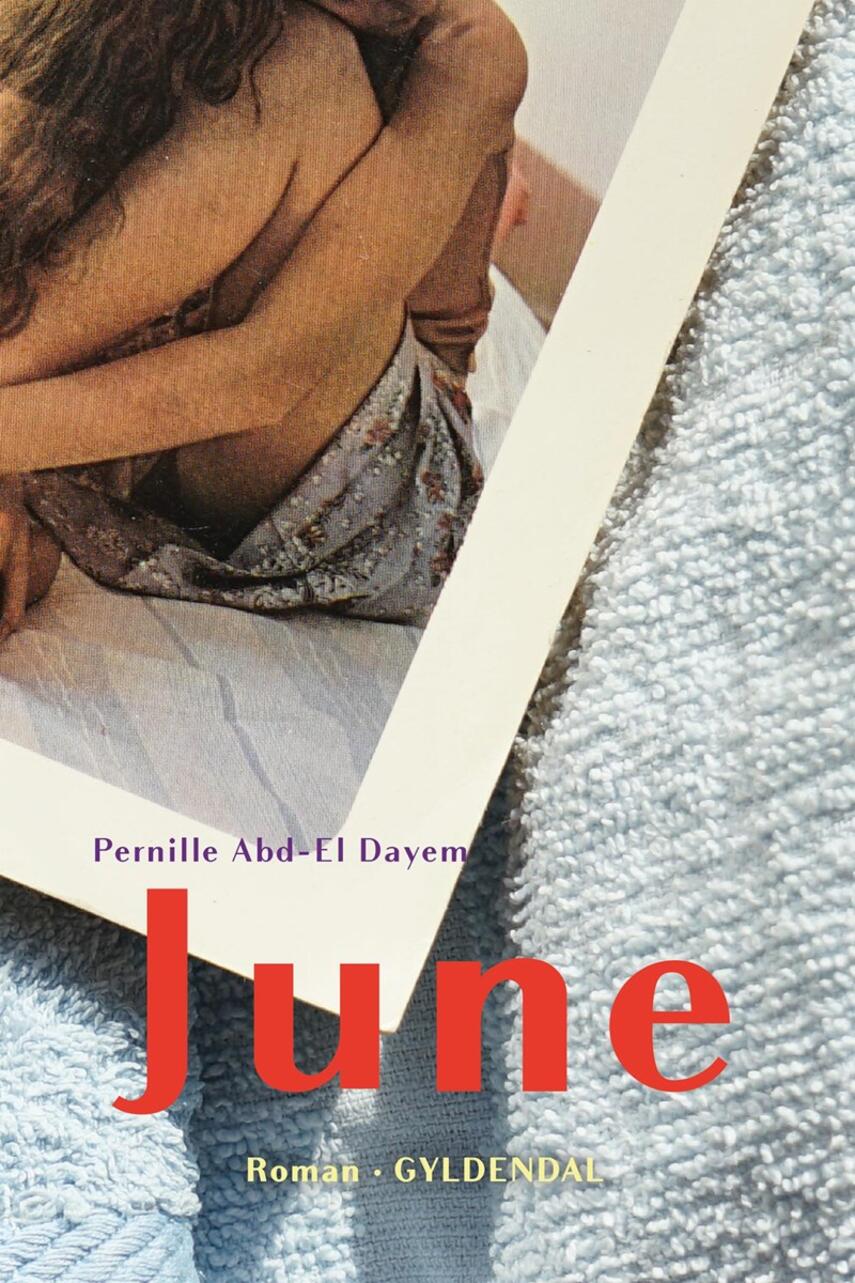 Pernille Abd-el Dayem: June : roman