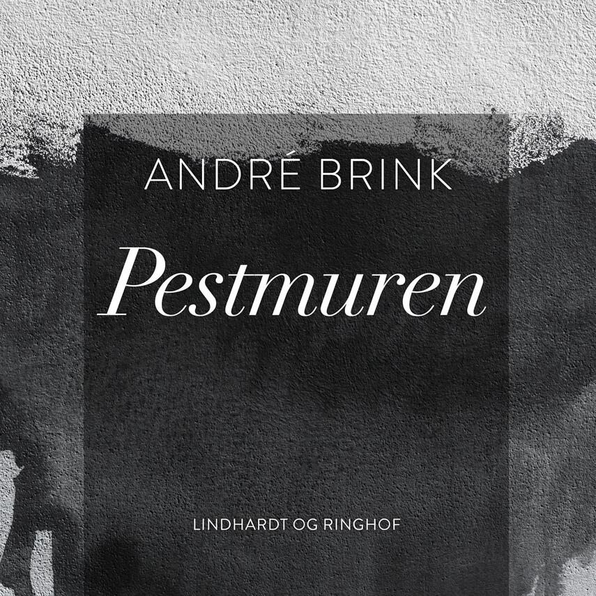 André Brink: Pestmuren