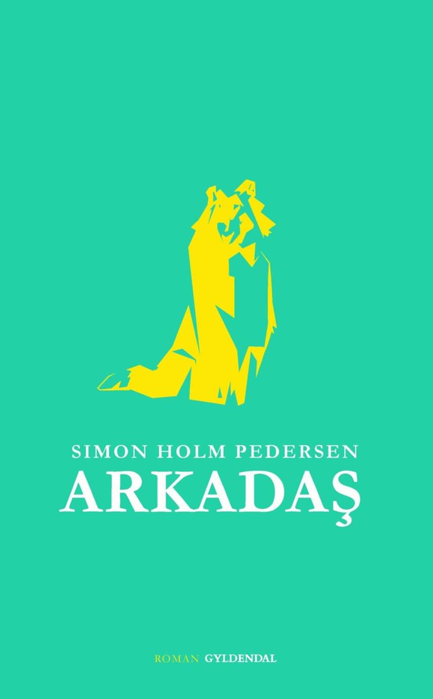 Simon Holm Pedersen: Arkadaş : roman