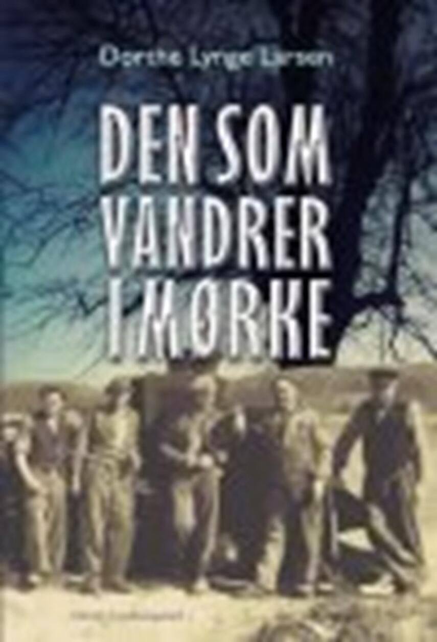 Dorthe Lynge Larsen: Den som vandrer i mørke : roman