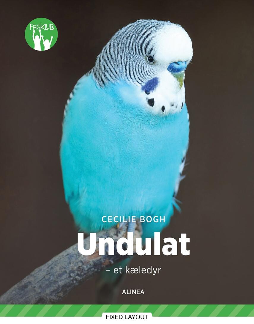 Cecilie Bogh: Undulat : et kæledyr