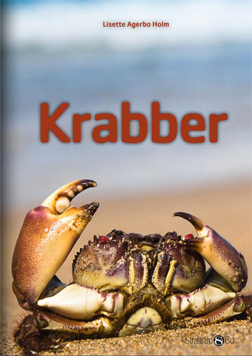 Lisette Agerbo Holm: Krabber