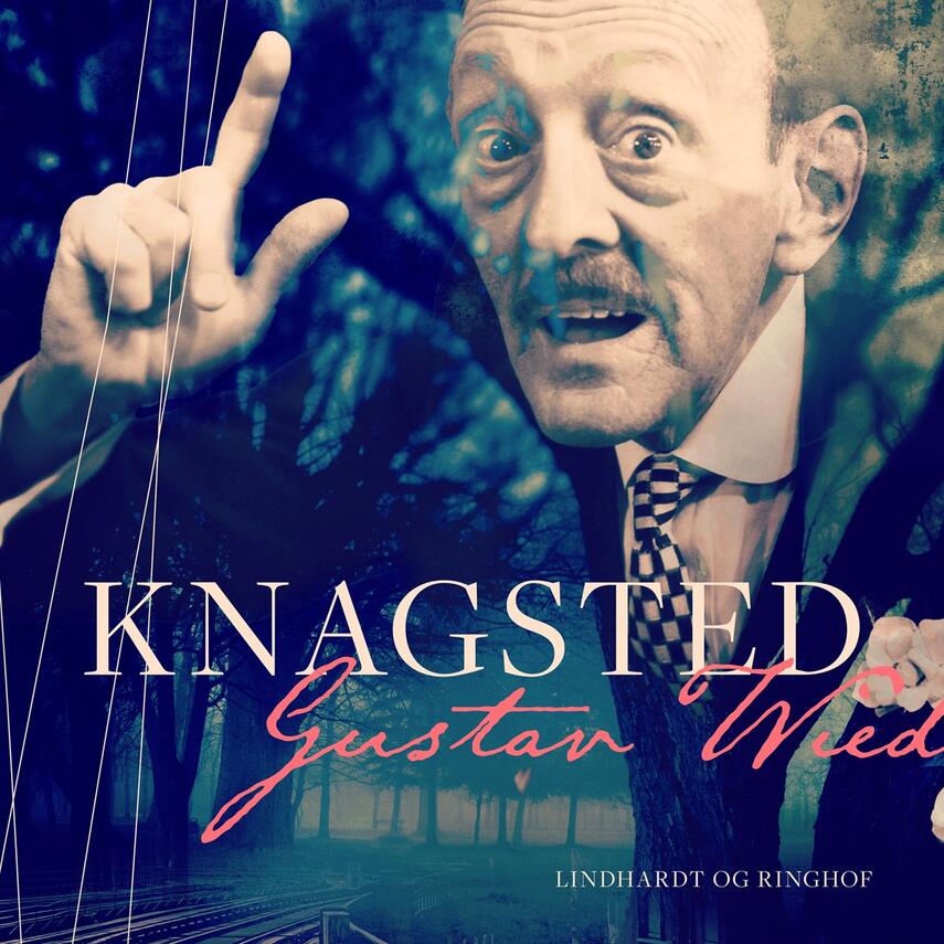 Gustav Wied: Knagsted