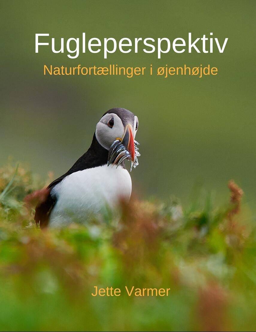 Jette Varmer: Fugleperspektiv : naturfortællinger i øjenhøjde