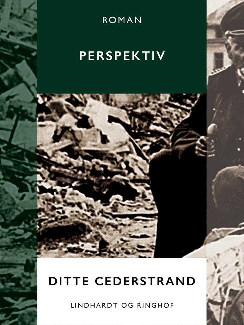 Ditte Cederstrand: Perspektiv (Ved Agnethe Bjørn)