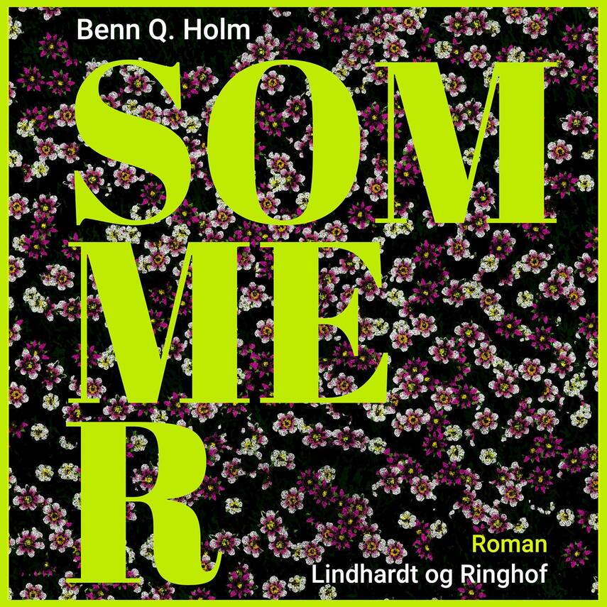 Benn Q. Holm (f. 1962): Sommer : roman