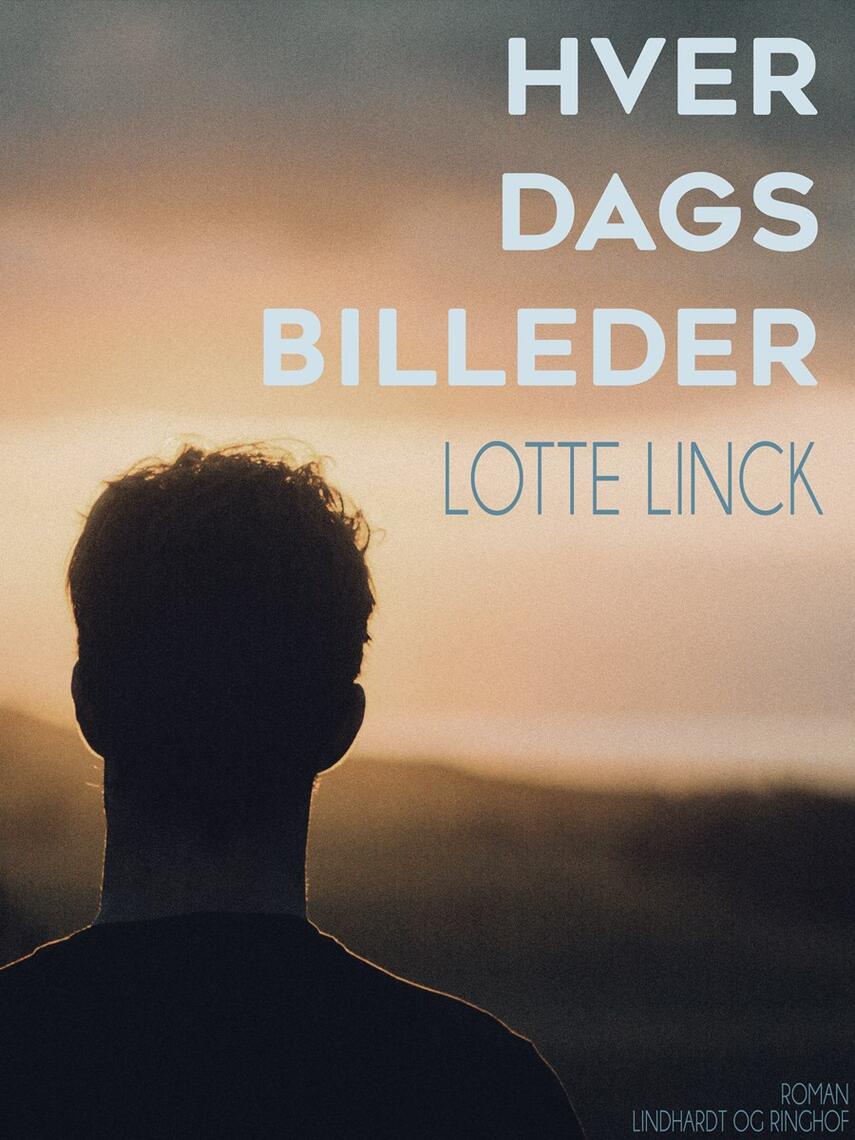 Lotte Linck: Hver dags billeder : roman