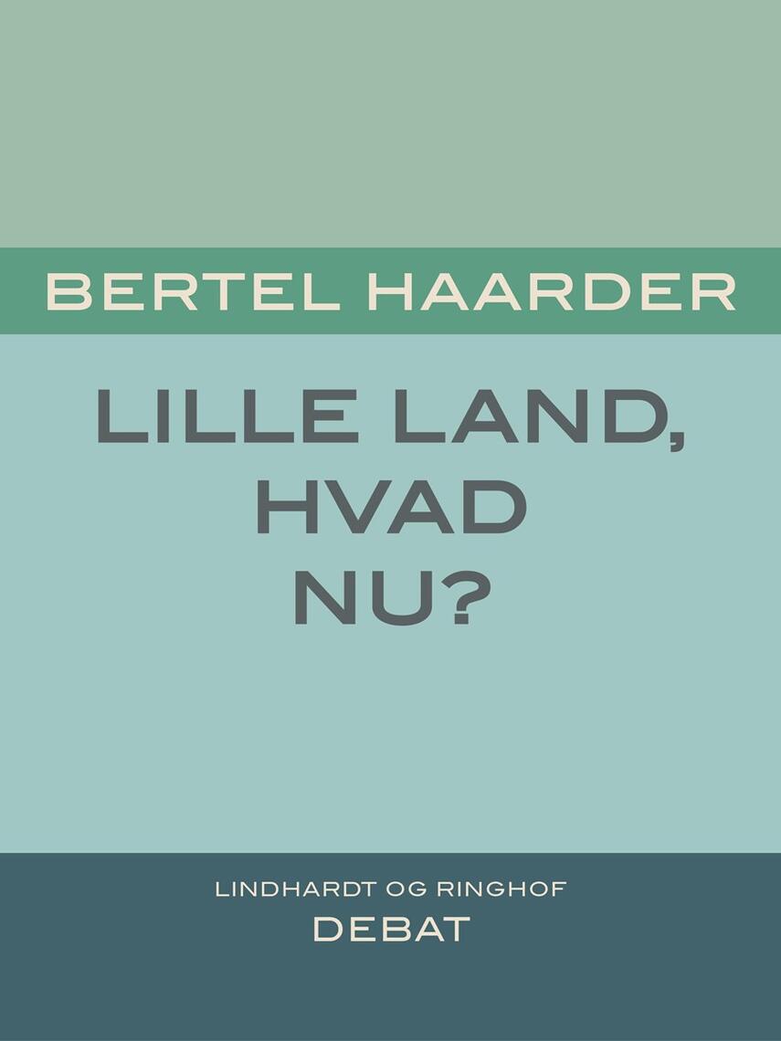 Bertel Haarder: Lille land, hvad nu?