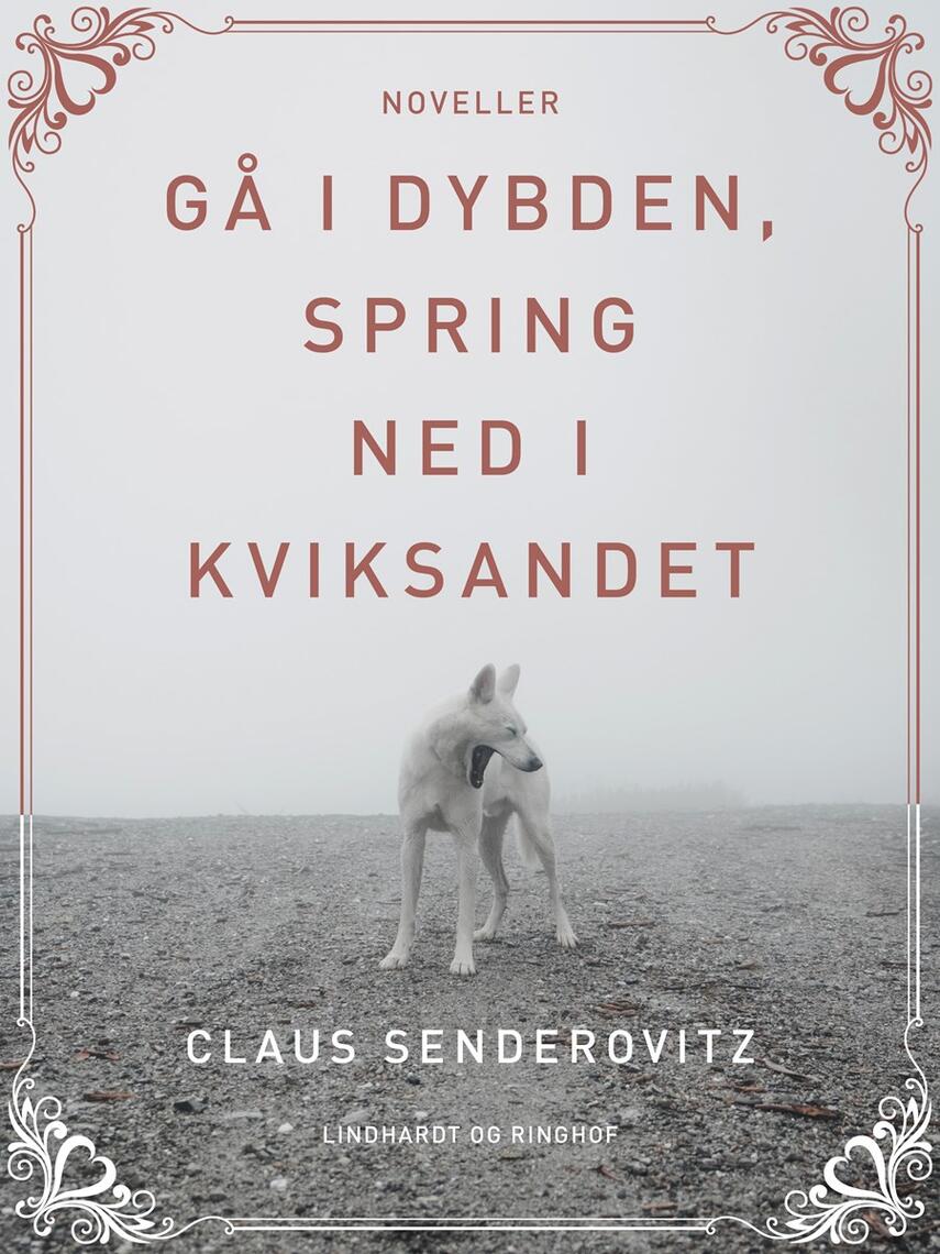 Claus Senderovitz: Gå i dybden, spring ned i kviksandet