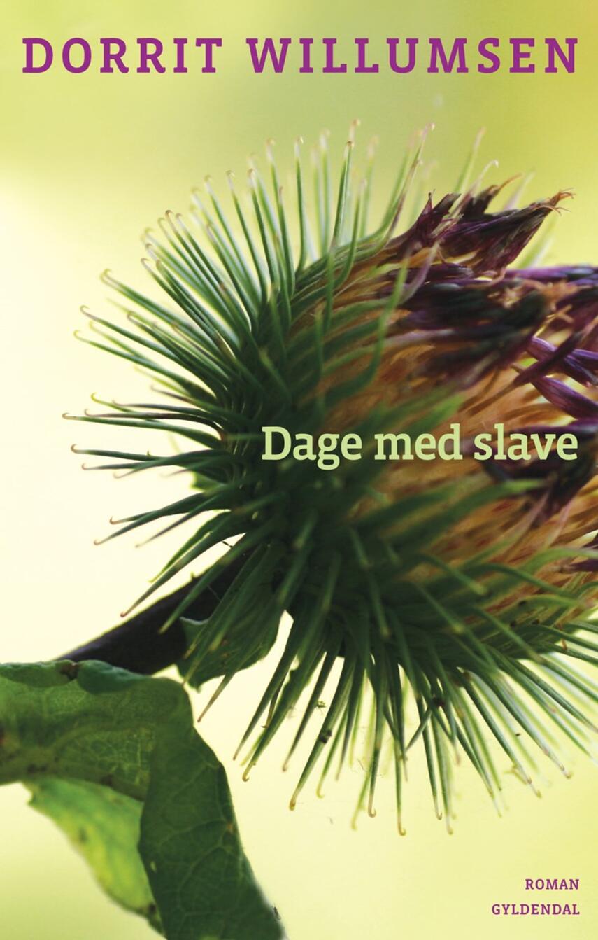 Dorrit Willumsen: Dage med slave