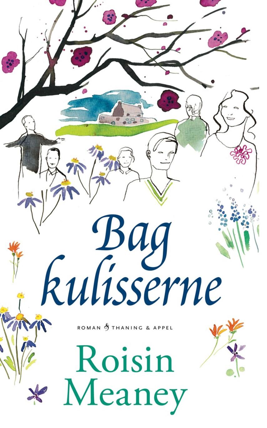 Roisin Meaney: Bag kulisserne : roman