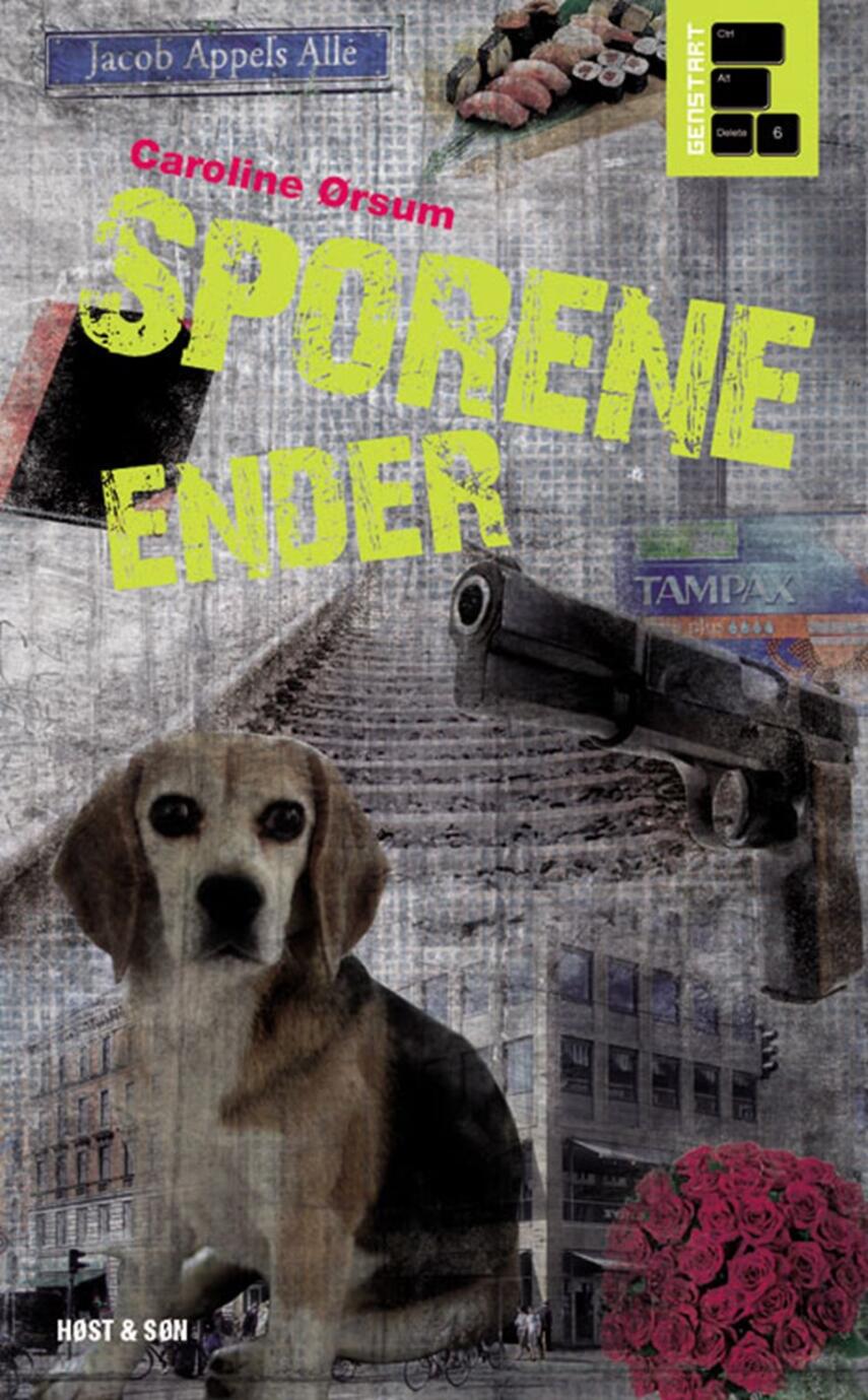 Caroline Ørsum: Sporene ender