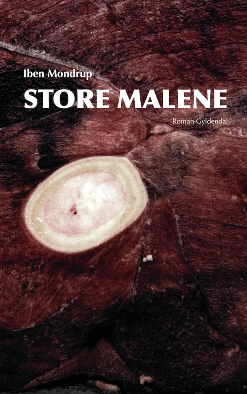 Iben Mondrup: Store Malene : roman