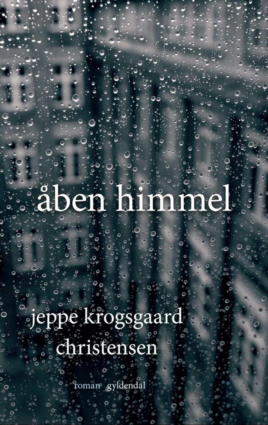 Jeppe Krogsgaard Christensen: Åben himmel : roman