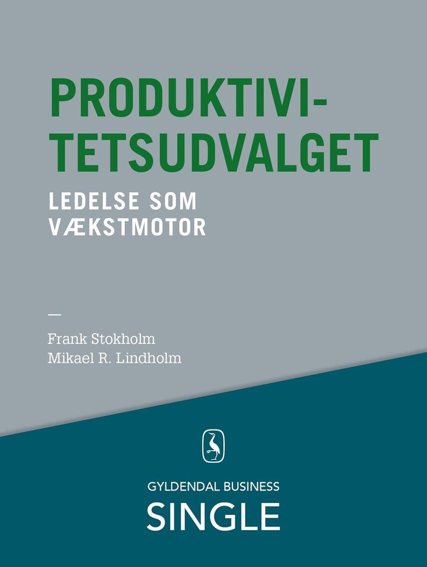 Frank Stokholm, Mikael R. Lindholm (f. 1961): Produktivitetsudvalget