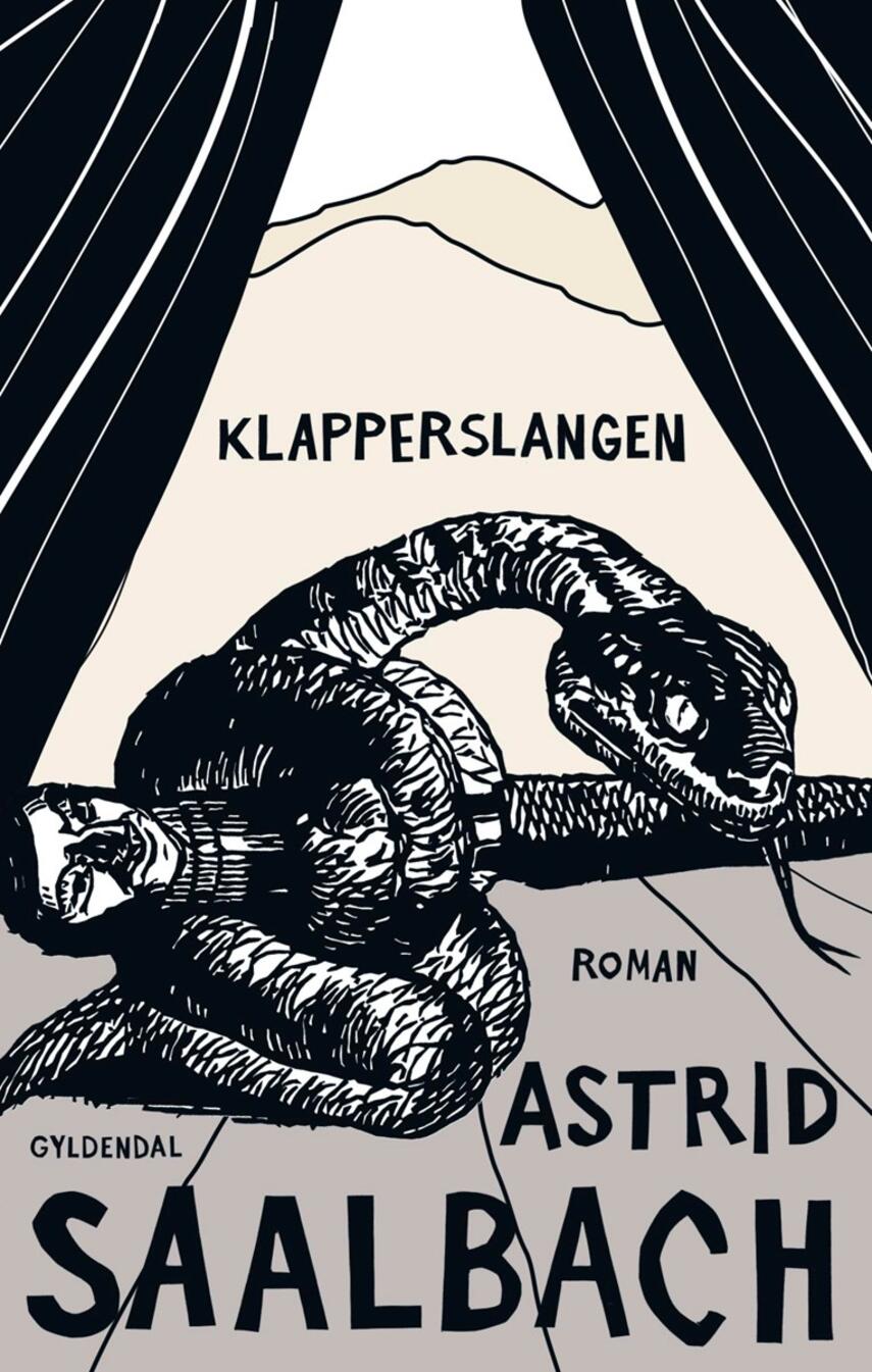 Astrid Saalbach: Klapperslangen : roman