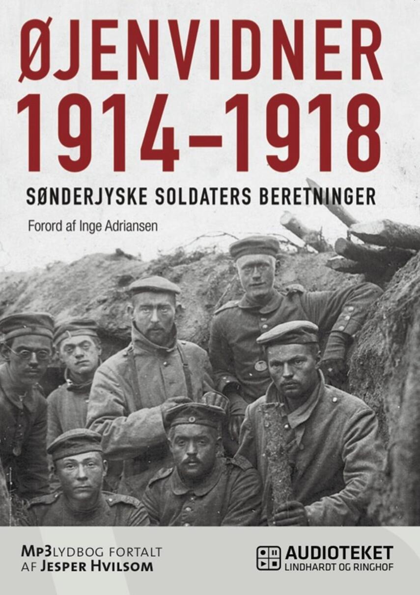 : Øjenvidner 1914-1918 : sønderjyske soldaters beretninger