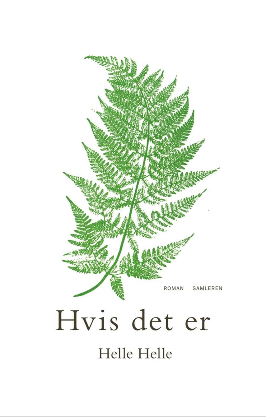 Helle Helle: Hvis det er : roman