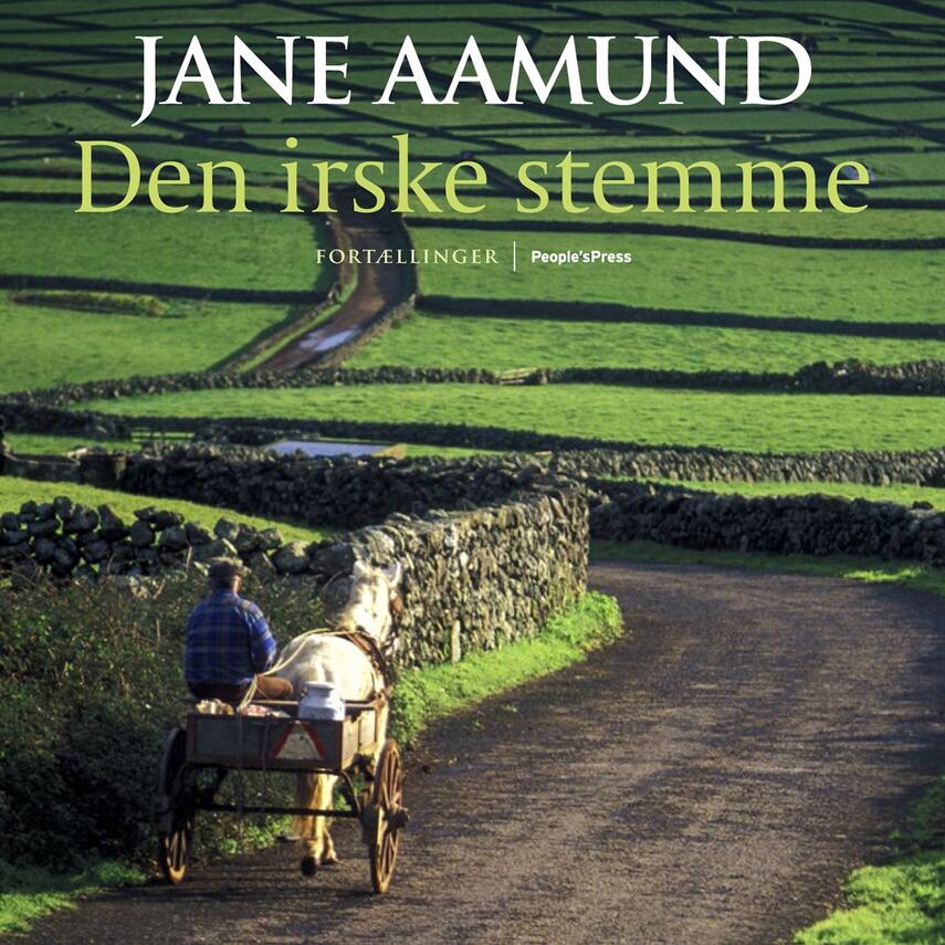Jane Aamund: Den irske stemme : fortællinger