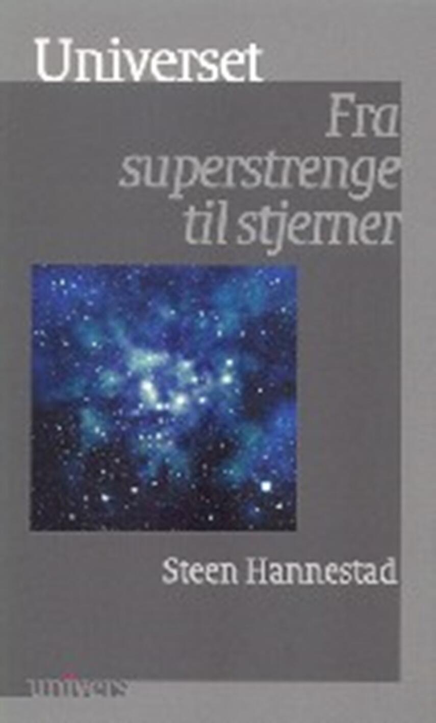 Steen Hannestad: Universet : fra superstrenge til stjerner