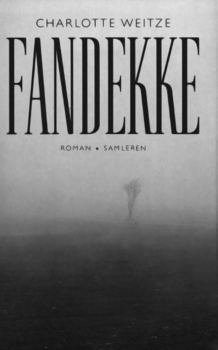 Charlotte Weitze: Fandekke : roman