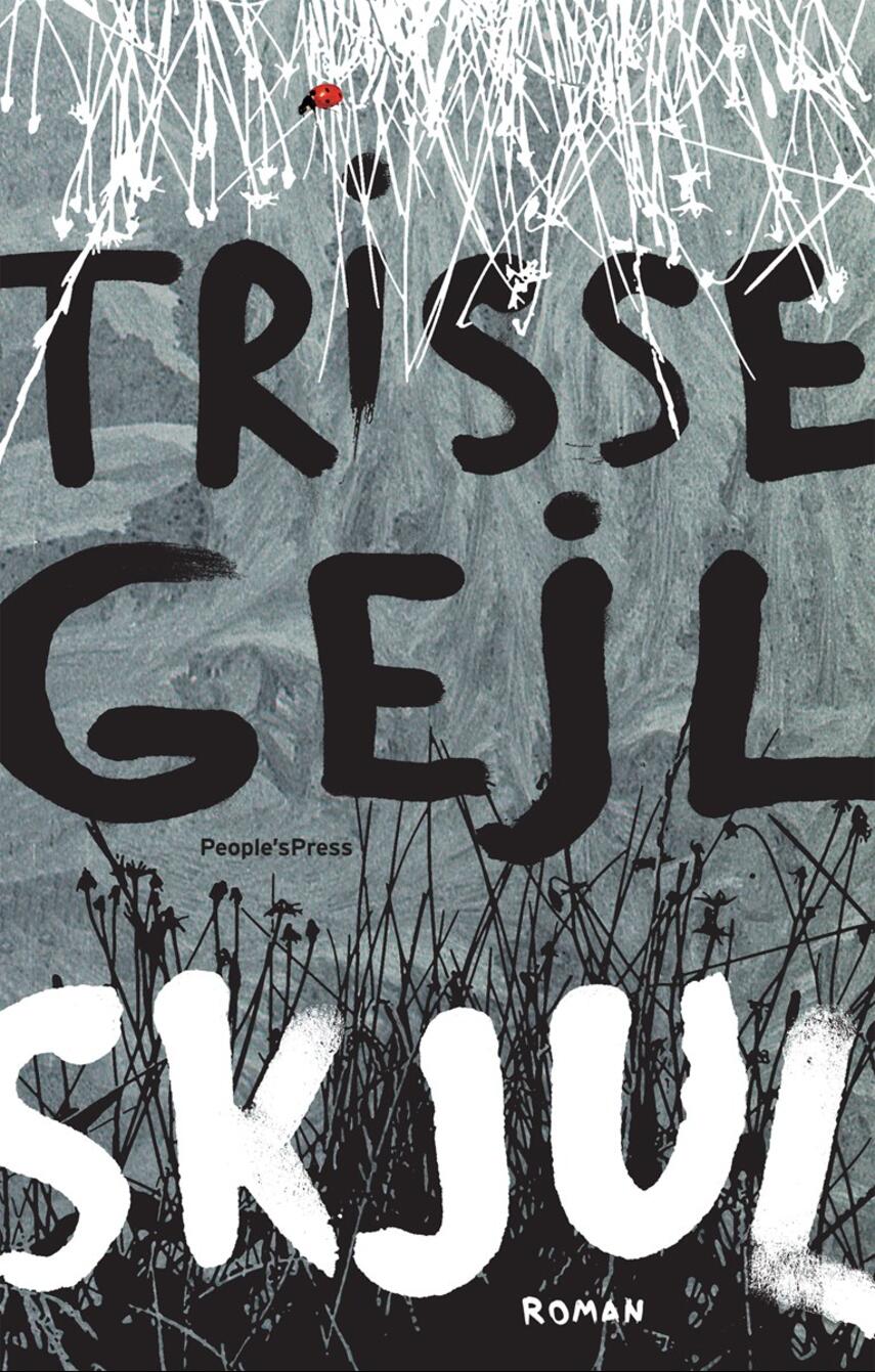 Trisse Gejl: Skjul : roman