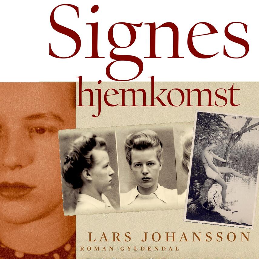 Lars Johansson (f. 1949): Signes hjemkomst : roman