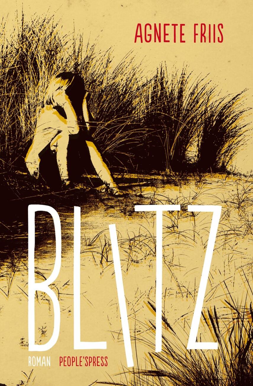Agnete Friis: Blitz : roman