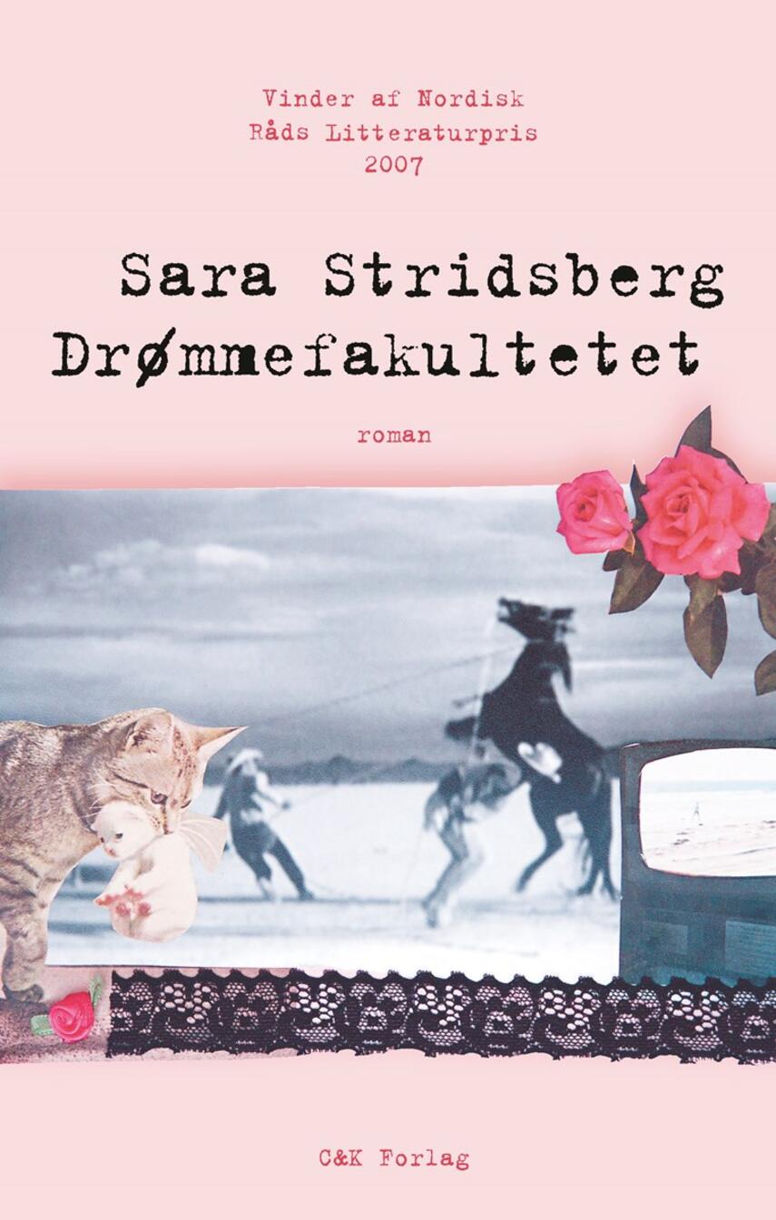 Sara Stridsberg: Drømmefakultetet : roman