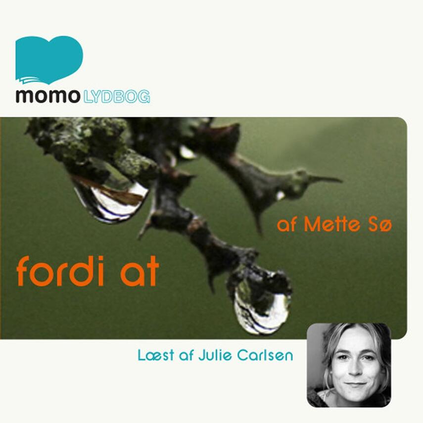 Mette Sø: Fordi at