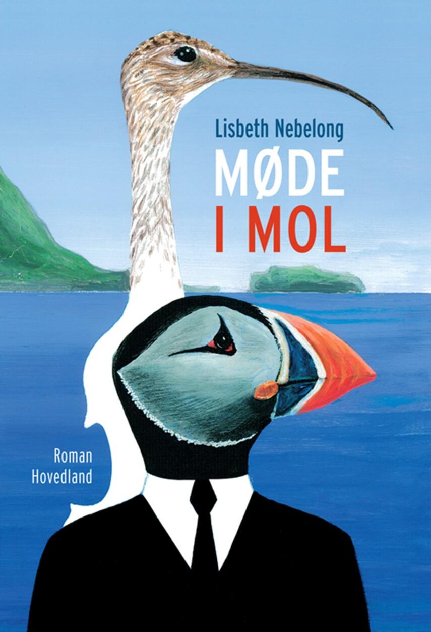 Lisbeth Nebelong: Møde i mol : roman