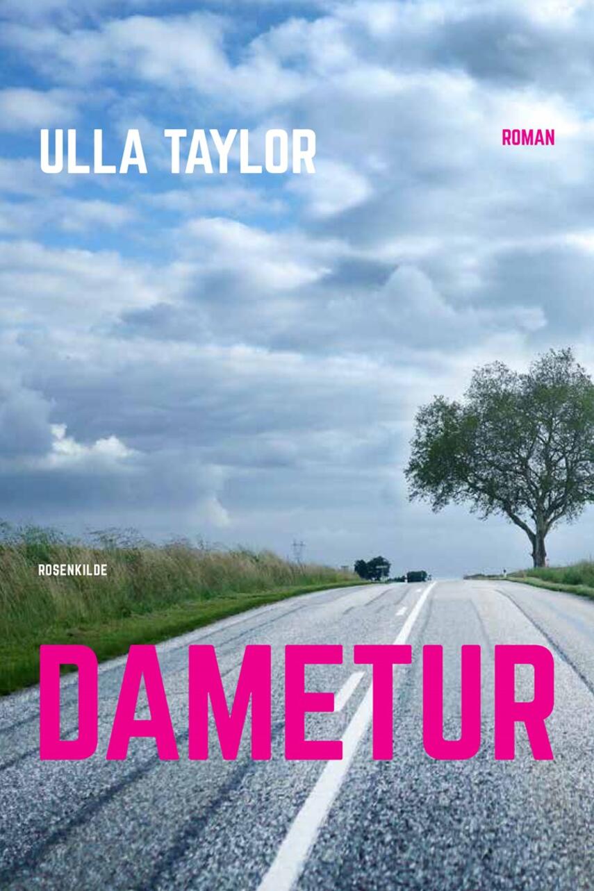 Ulla Taylor: Dametur : roman