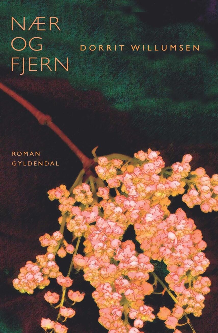 Dorrit Willumsen: Nær og fjern : roman