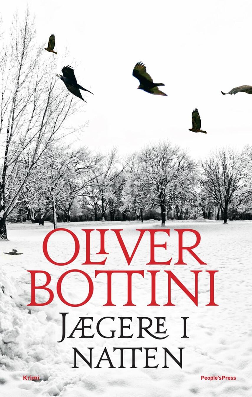 Oliver Bottini: Jægere i natten : krimi