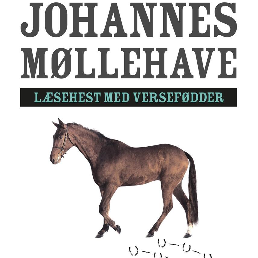 Johannes Møllehave: Læsehest med versefødder : fra folkevisen til den folkelige vise