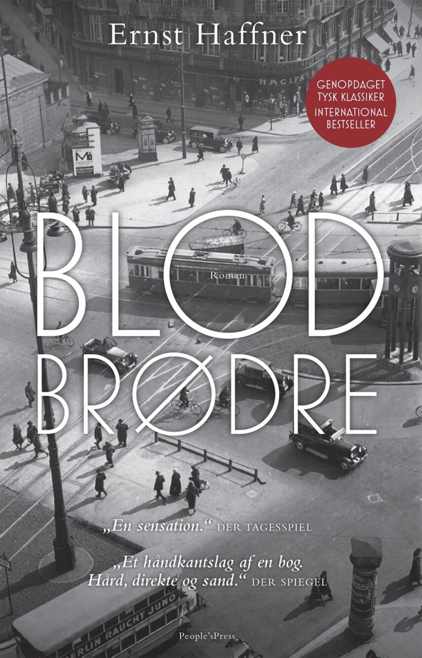 Ernst Haffner: Blodbrødre : roman