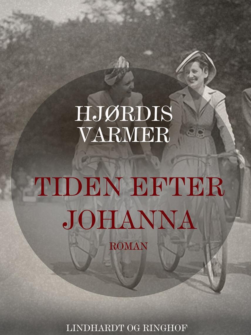 Hjørdis Varmer: Tiden efter Johanna : roman