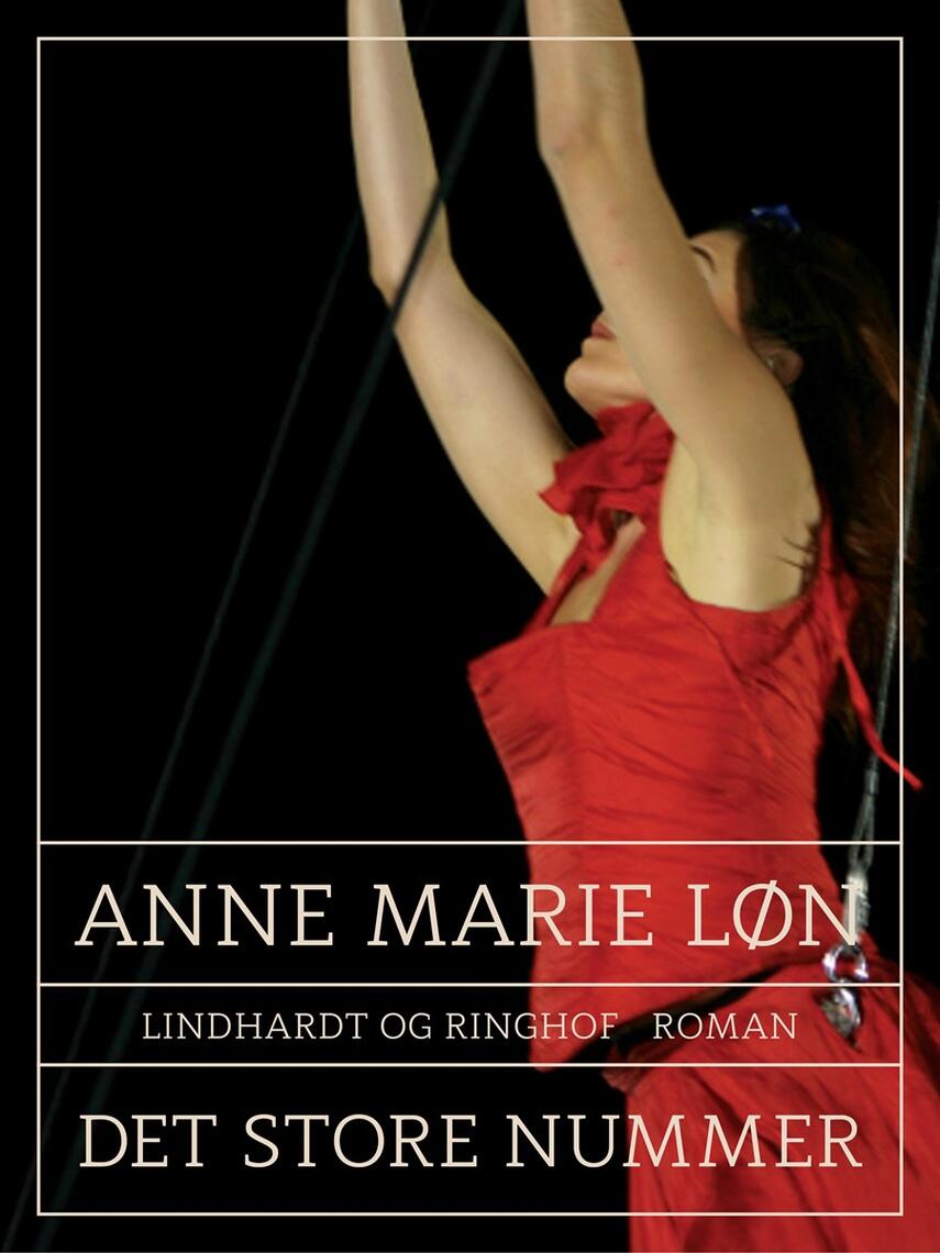 Anne Marie Løn: Det store nummer : roman