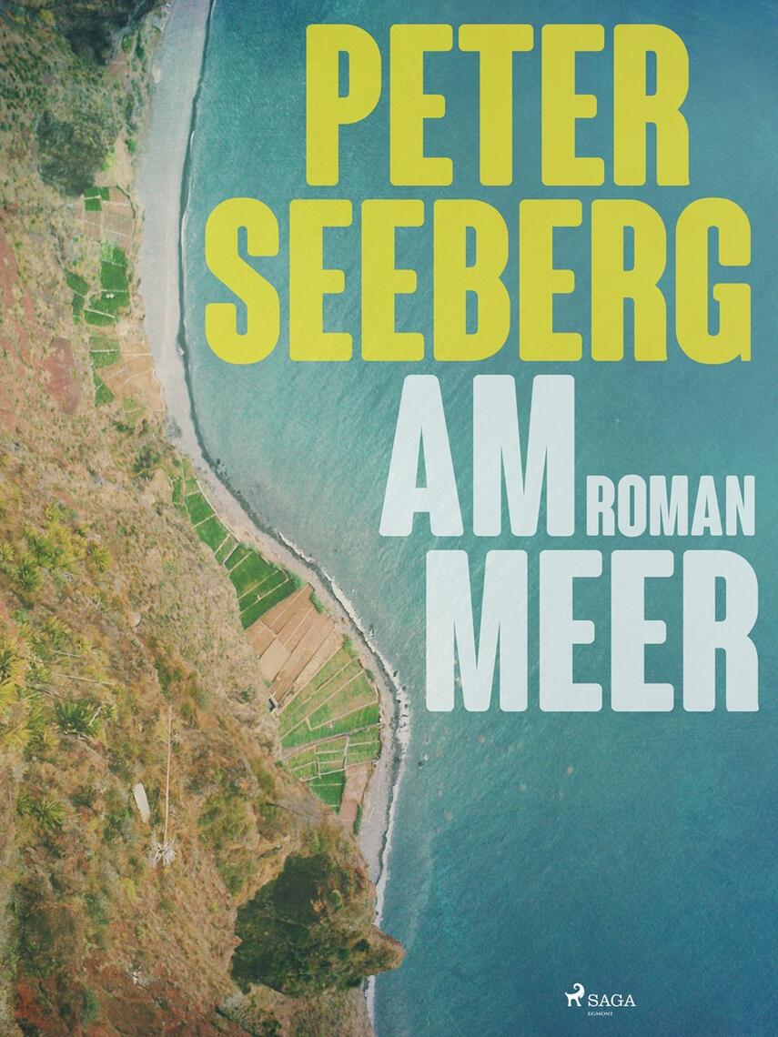 Peter Seeberg (f. 1925): Am Meer : Roman