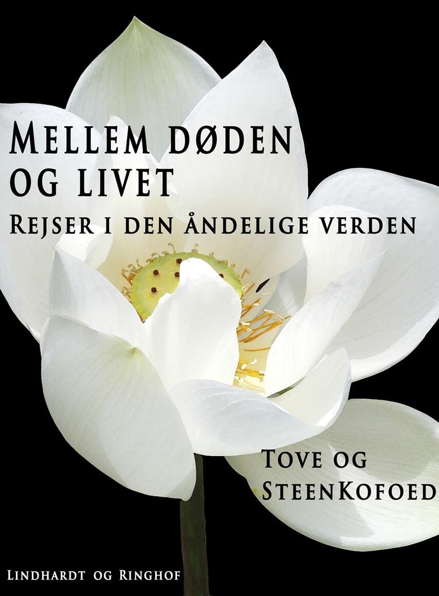 Tove Kofoed, Steen Kofoed: Mellem døden og livet : rejser i den åndelige verden
