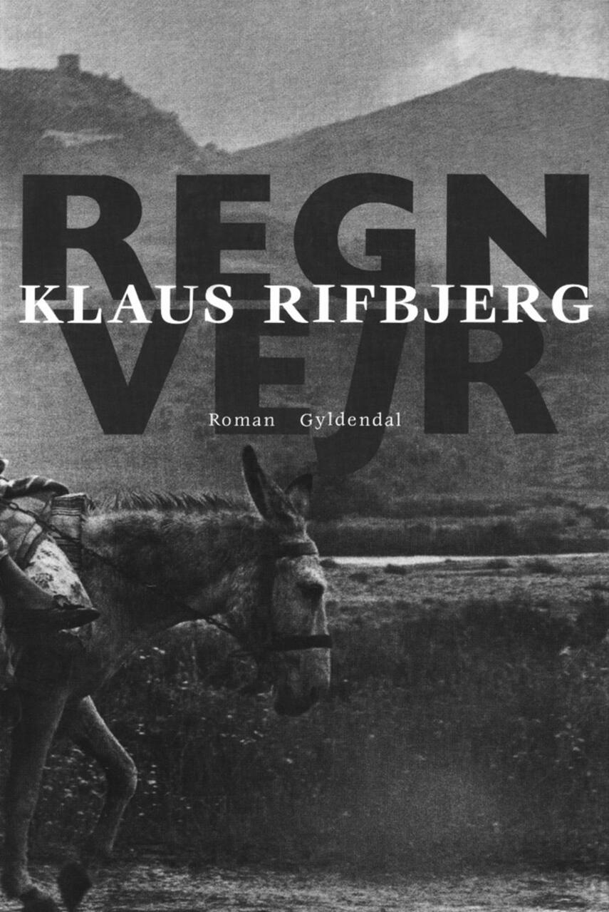 Klaus Rifbjerg: Regnvejr : roman