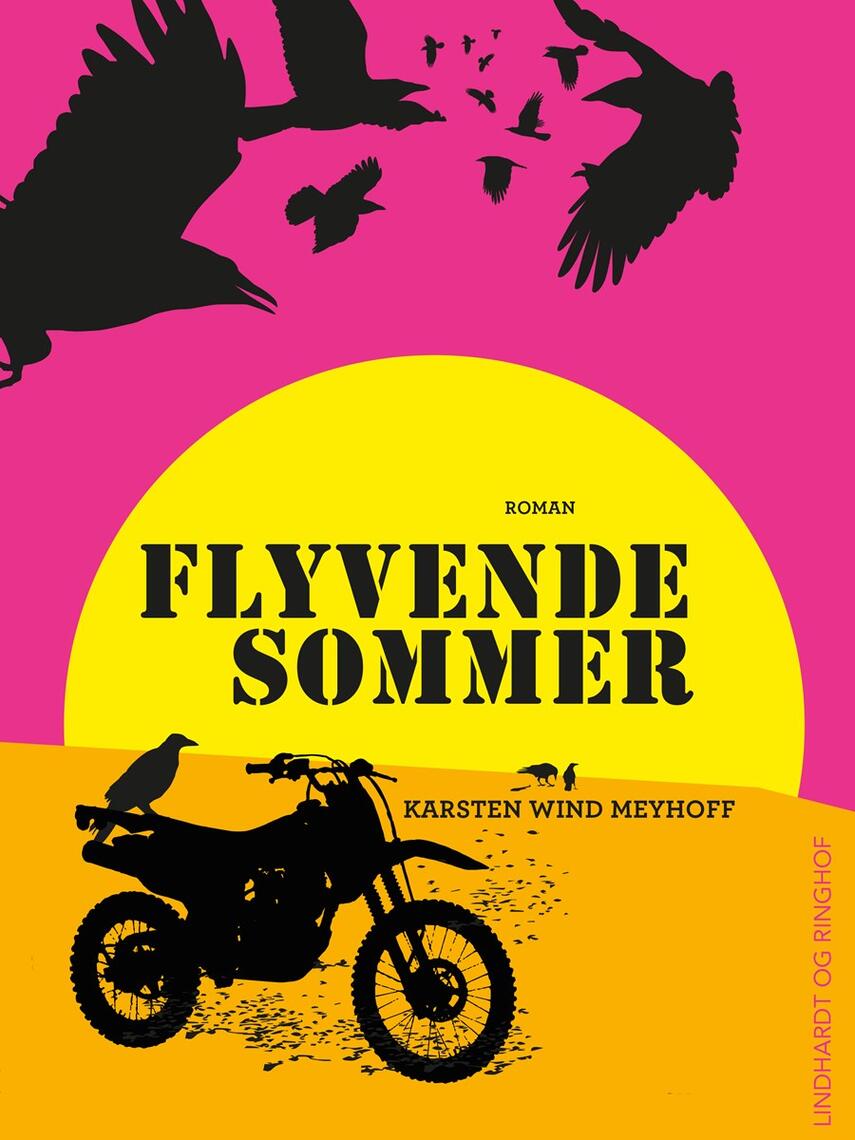 Karsten Wind Meyhoff: Flyvende sommer : roman