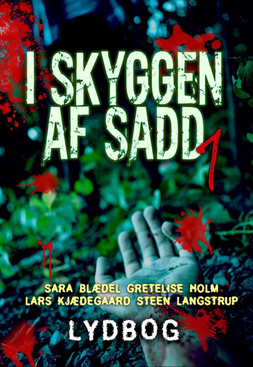 Steen Langstrup: I skyggen af Sadd : 4 forfattere, 4 historier, een roman