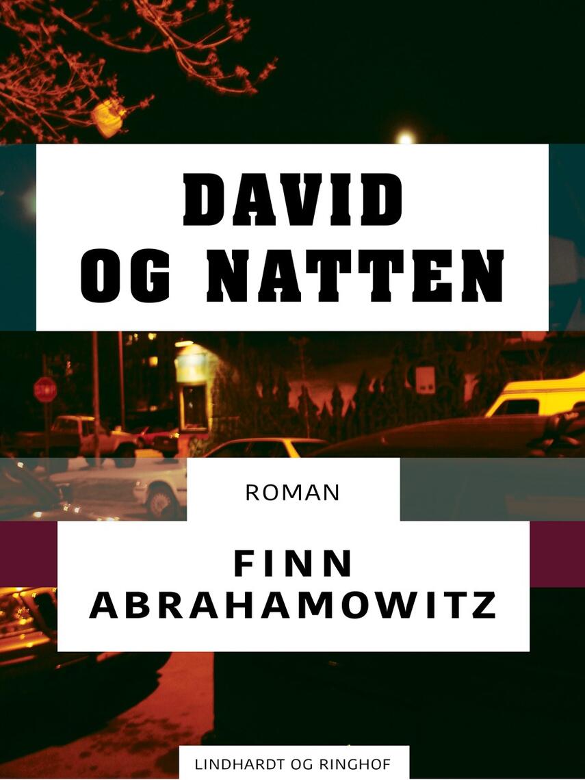 Finn Abrahamowitz: David og natten : roman