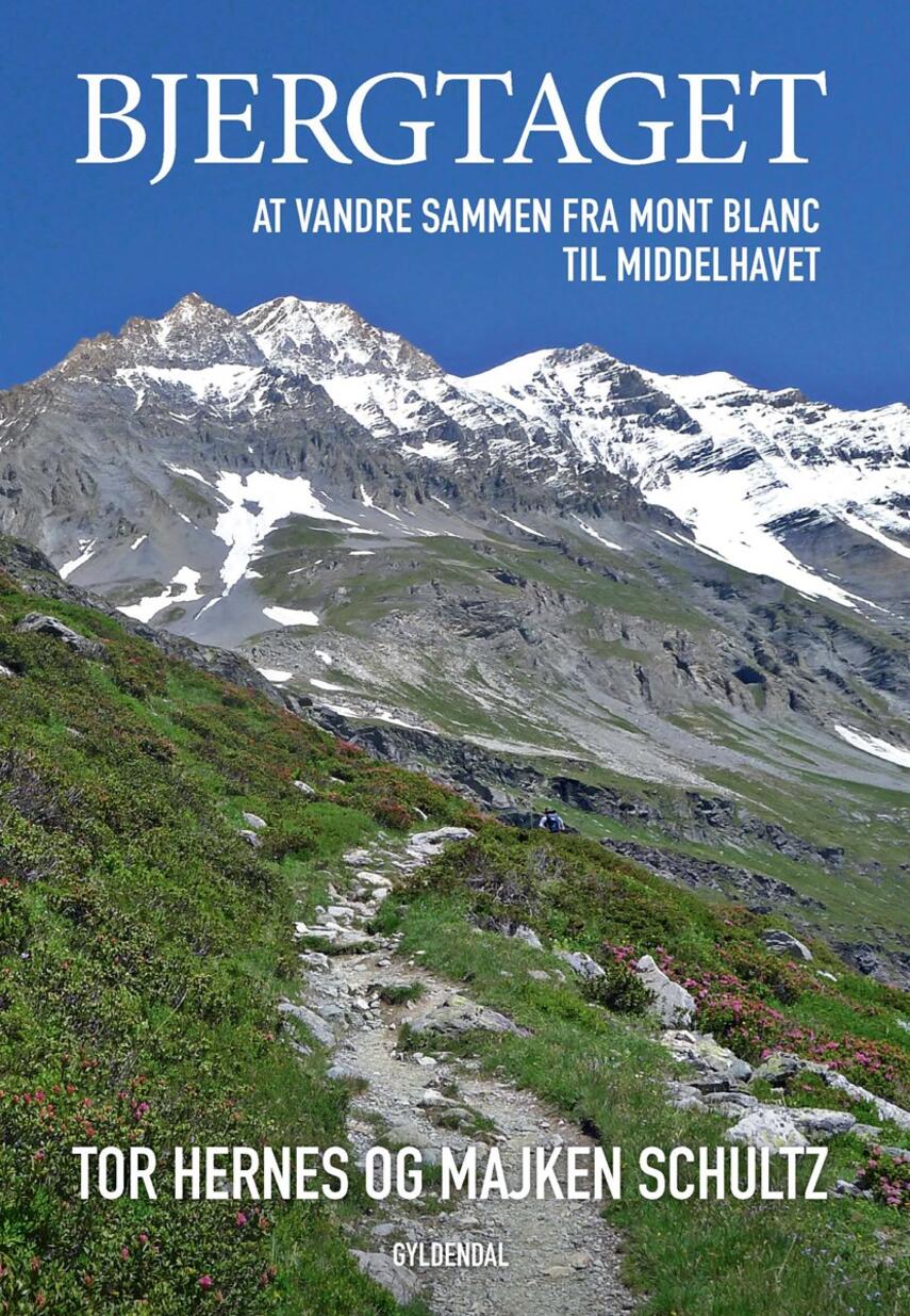 : Bjergtaget : at vandre sammen fra Mont Blanc til Middelhavet