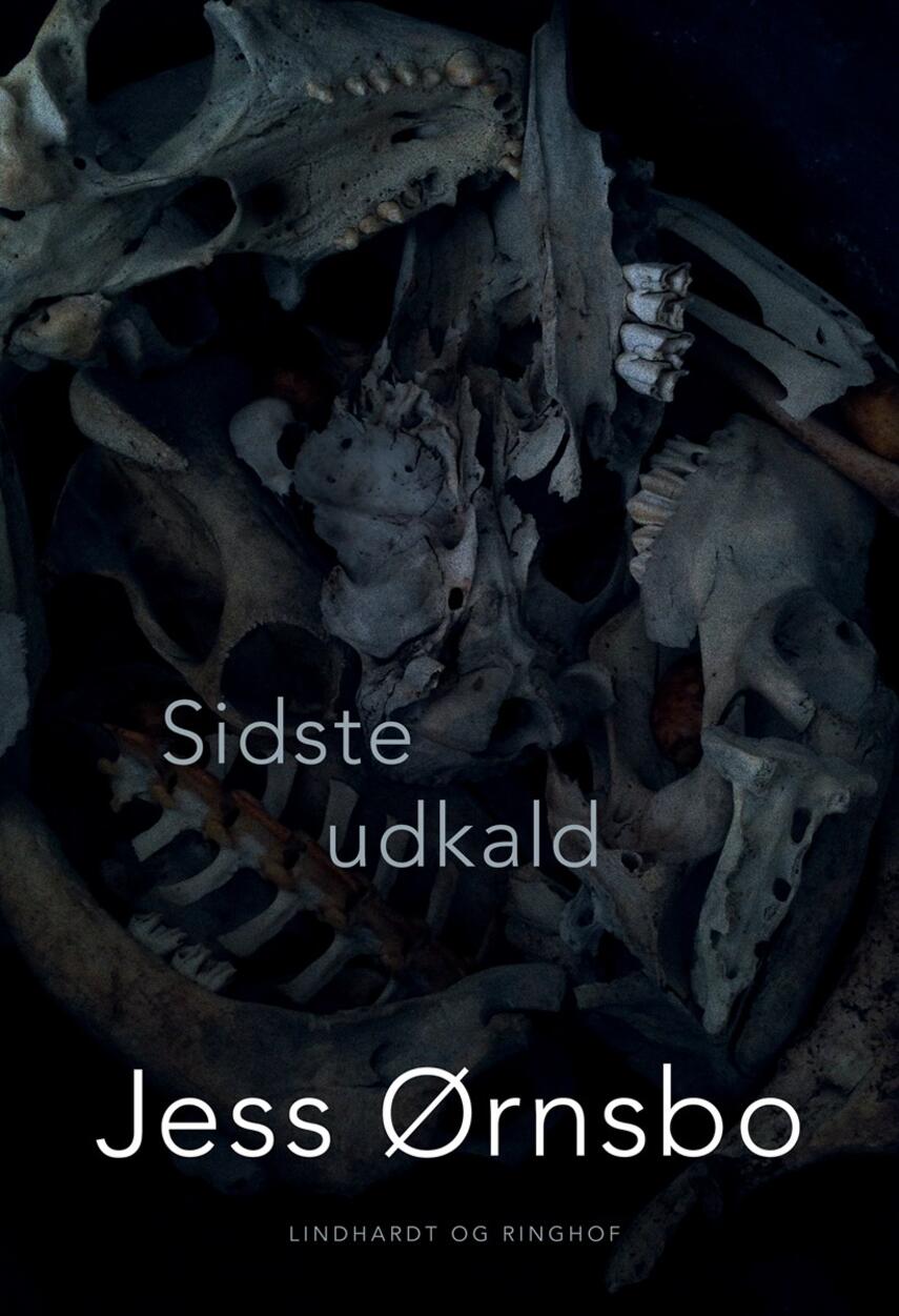 Jess Ørnsbo: Sidste udkald