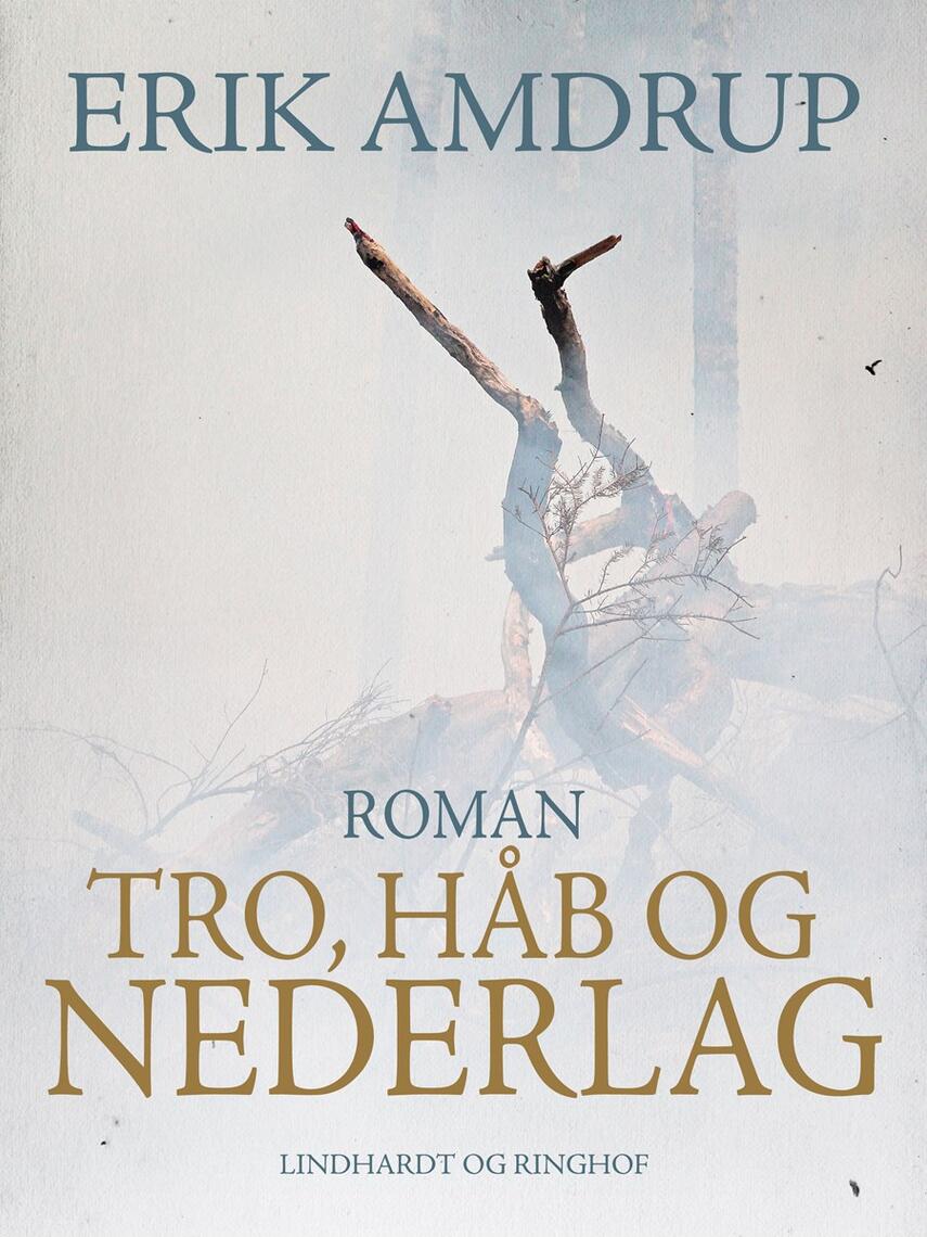 Erik Amdrup: Tro, håb og nederlag : roman